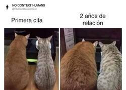 Enlace a Tras la separación se vuelve a la misma fase, por @HumansNoContext