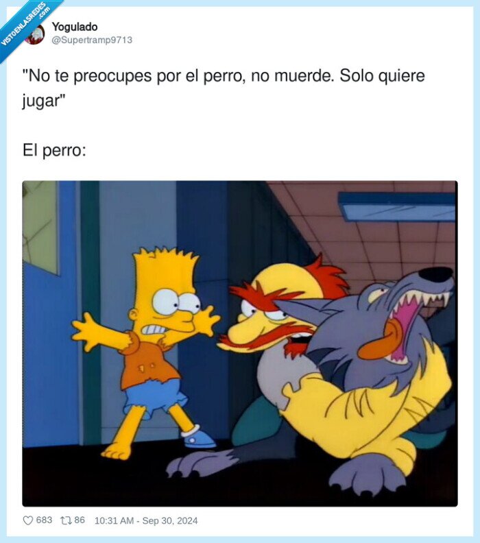 perro,muerde,jugar