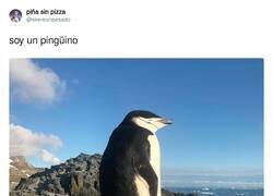 Enlace a Deben estar de mala hostia todo el día, por @skereunpesado