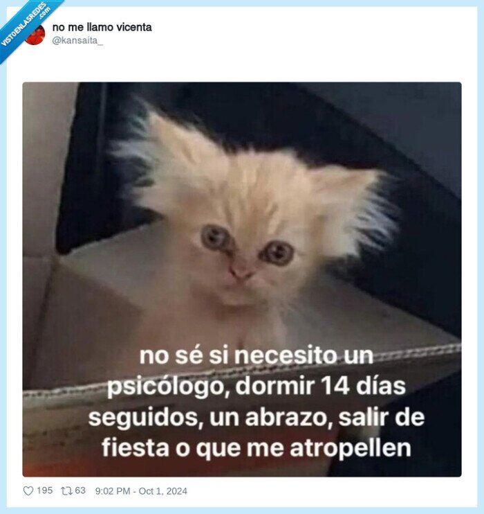 gato,necesitar,psicologo,dormir,abrazo