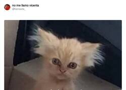 Enlace a Situación actual, por @kansaita_