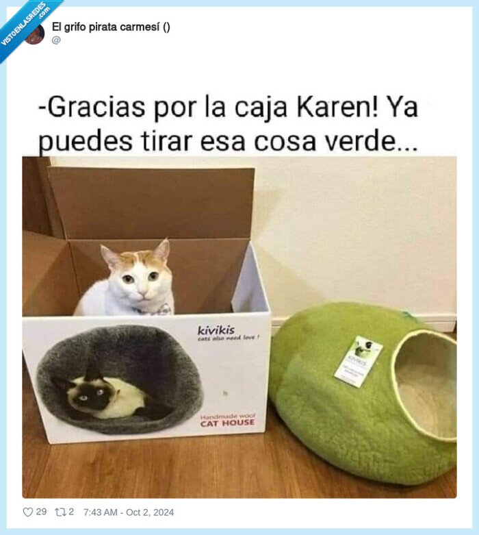 gato,caja,karen