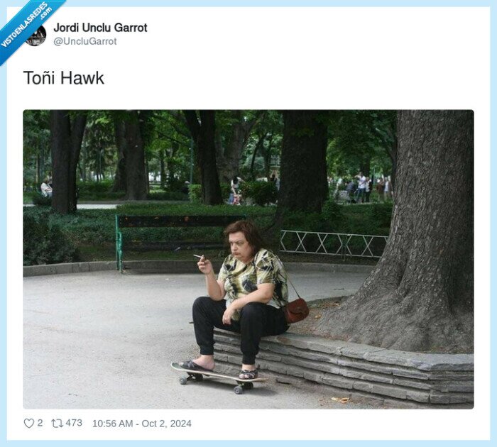 charo,toñi hawk,skate