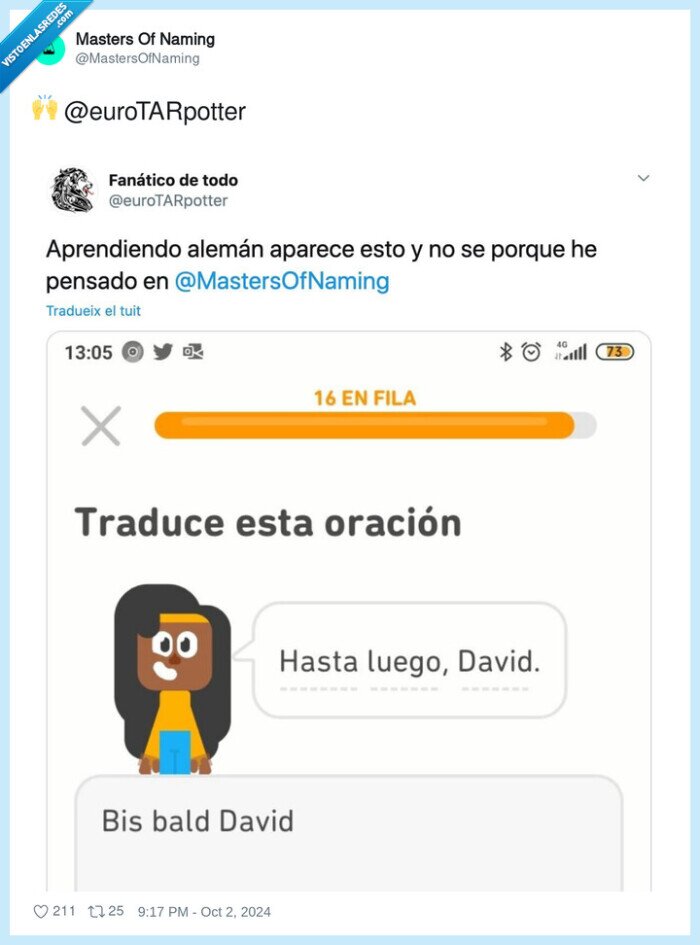 traductor,david,bis bald
