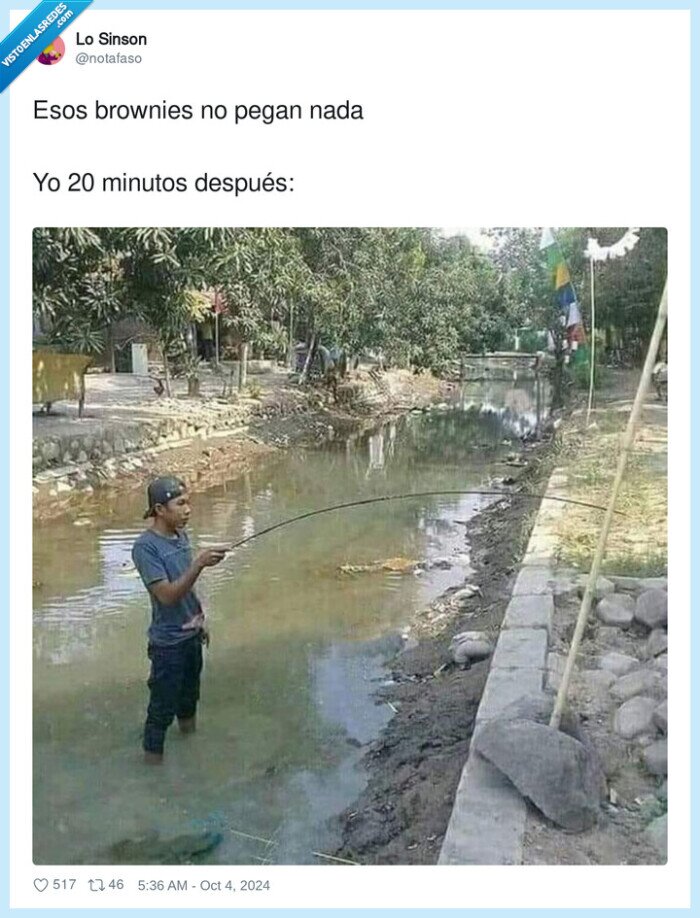 brownies,después,pegar