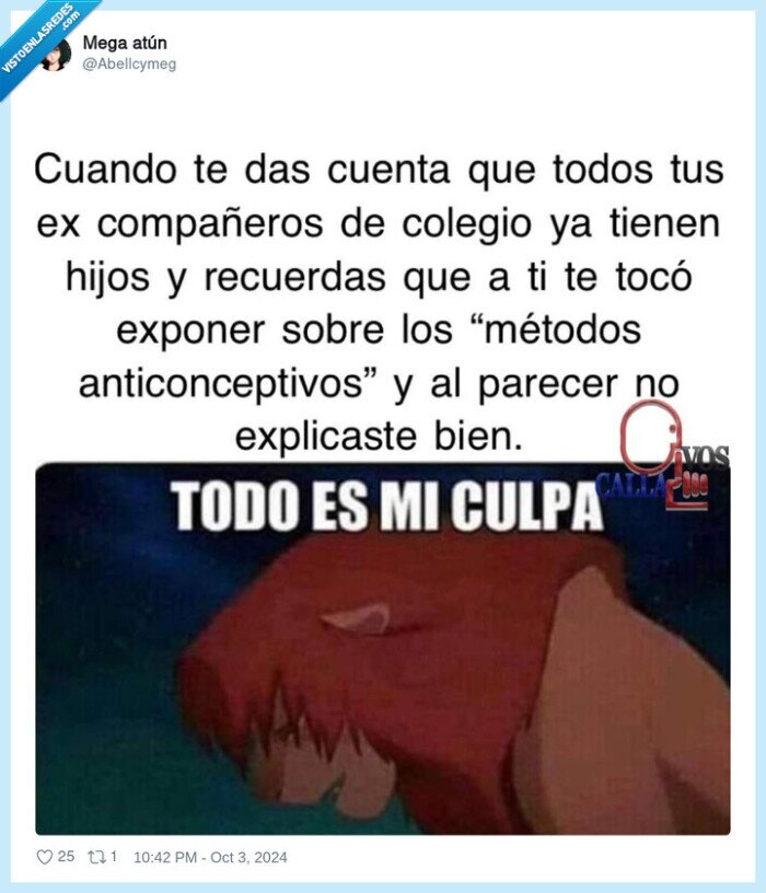 culpa,compañeros,colegio,anticonceptivos,charla