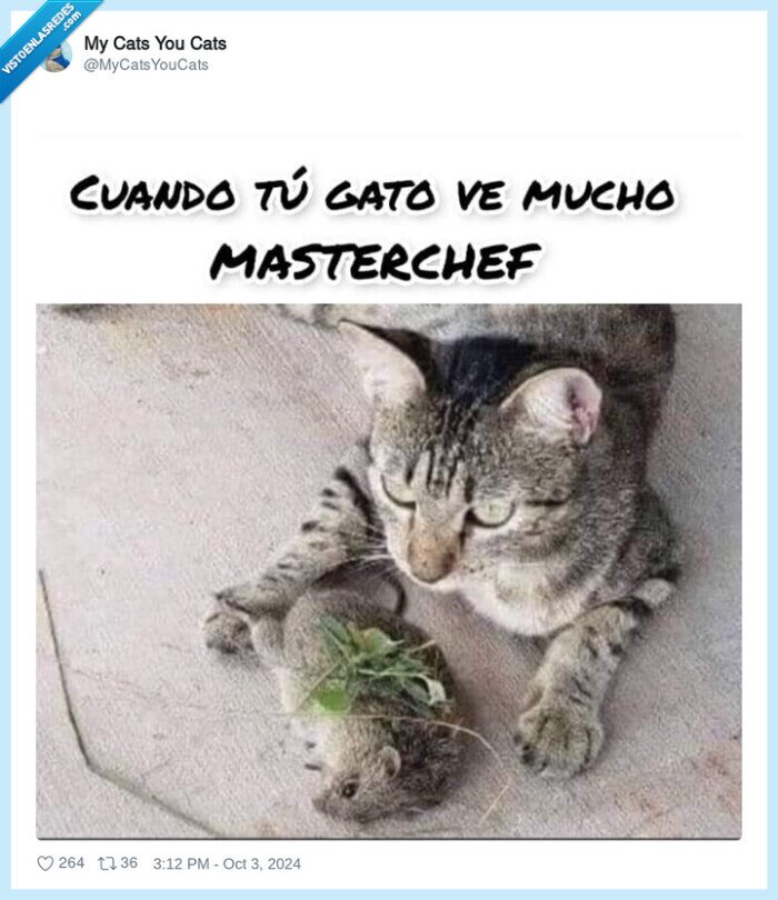 gato,perejil,rata