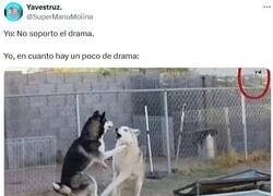 Enlace a A ver, a ver qué pasa por @supermanumolina