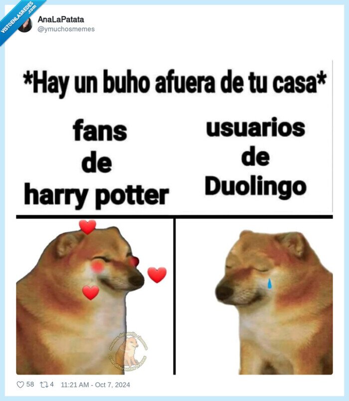 buho,duolingo,cheems,doge