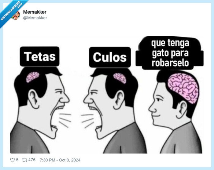 tetas,culo,gato,robar