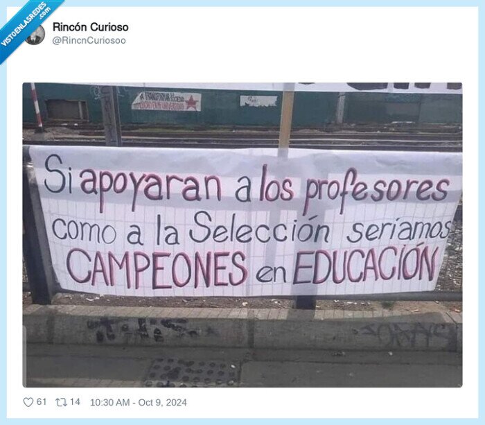 campeones,profesores,apoyo,educación