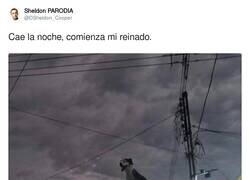 Enlace a Dogman está preparado, por @DSheldon_Cooper