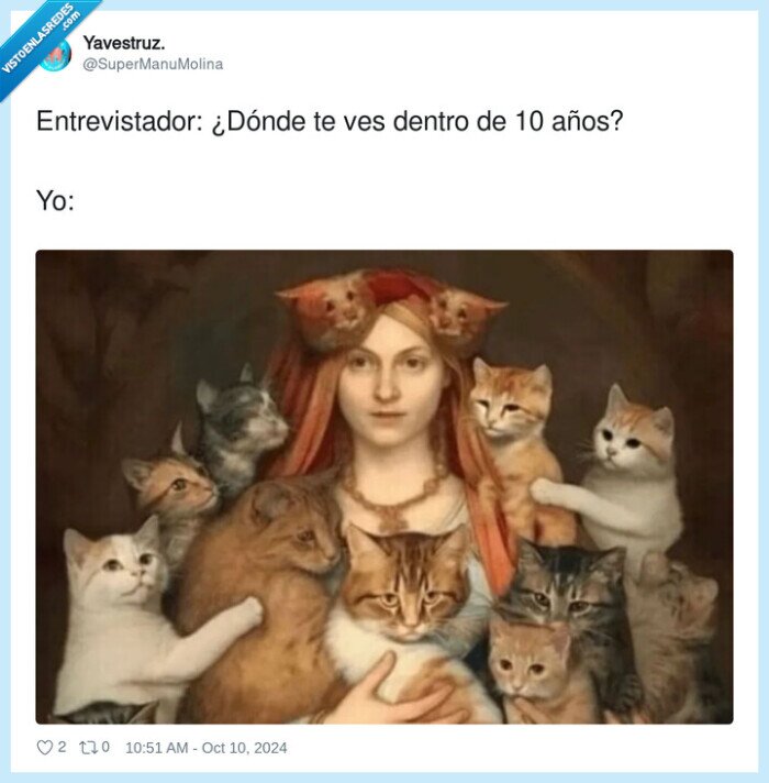 entrevistador,verse,gatos