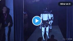 Enlace a Con estos robots que acaba de presentar Elon Musk, van a desaparecer el 90% de los trabajos