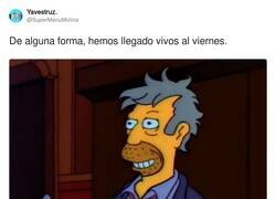 Enlace a ¡Felicidades a todos!, por @SuperManuMolina