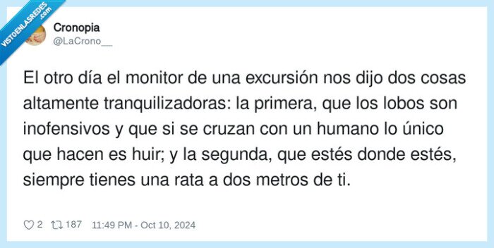 miedo,rata,lobo,huir,cerca