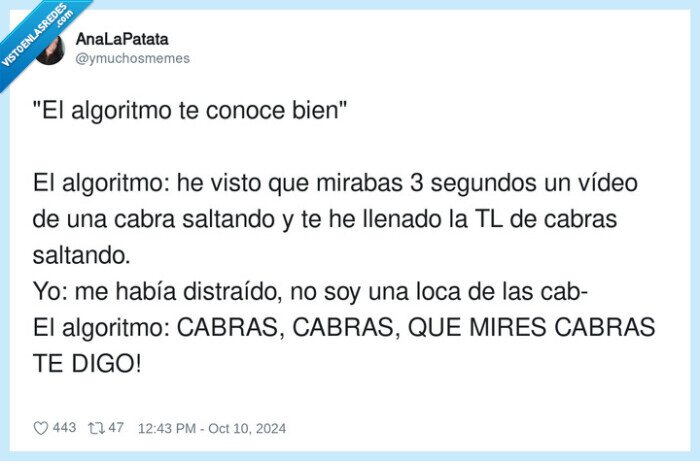 distraído,algoritmo,ofrecer,raro,cabras