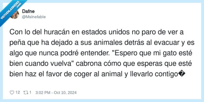 huracán,llevarlo,atar,animales,milton,mascotas