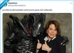 Enlace a A vivir, que son dos días por @supermanumolina