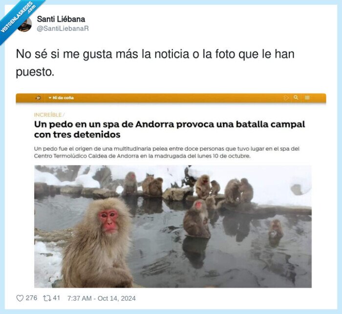 noticia,foto,spa,andorra,monos