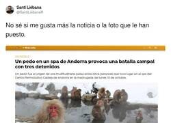 Enlace a La foto me parece una fantasía, por @SantiLiebanaR