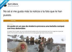 Enlace a La foto me parece una fantasía, por @SantiLiebanaR