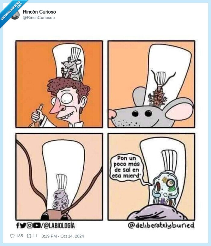 ratatouille,rata,sombrero