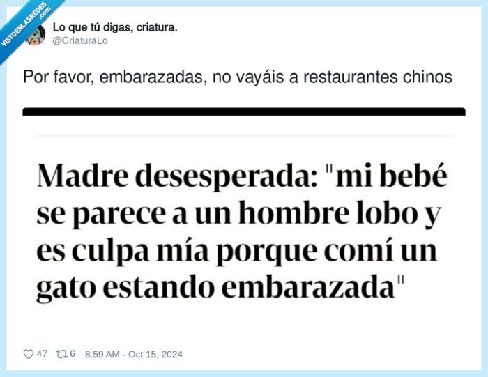 embarazadas,hombre lobo,niño,gato