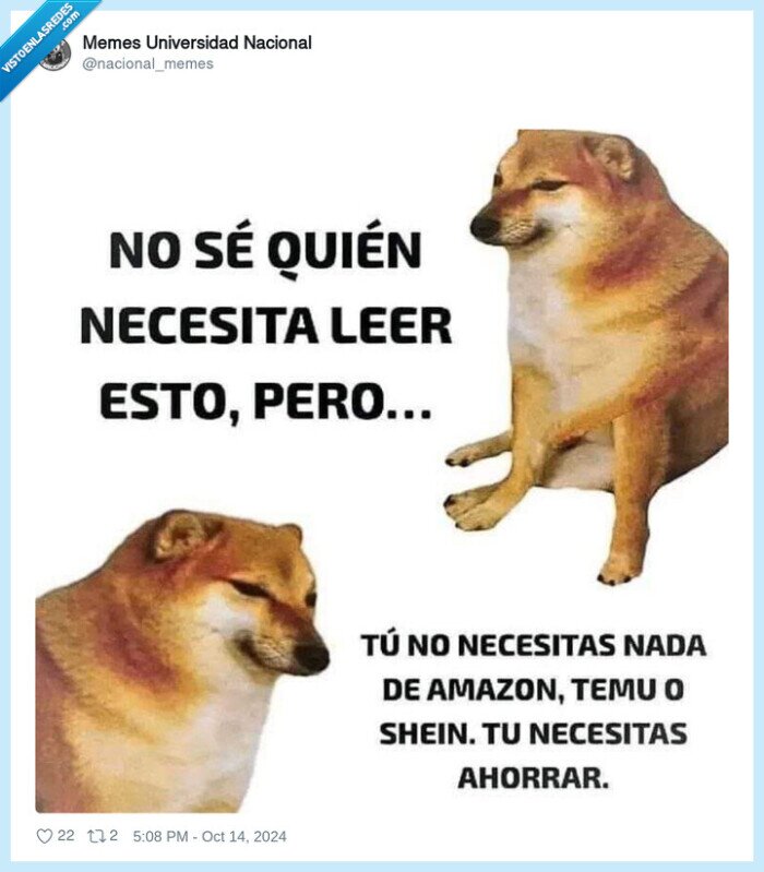 cheems,doge,perro,gastar,shein,temu,amazon