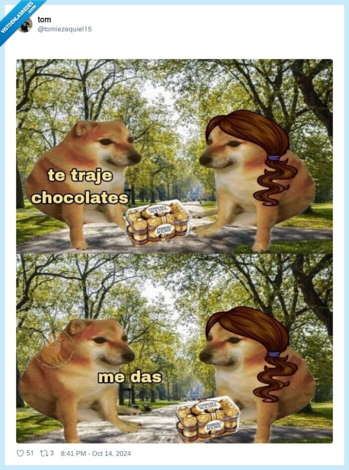 ferrero rocher,bombones,chocolate,doge,cheems