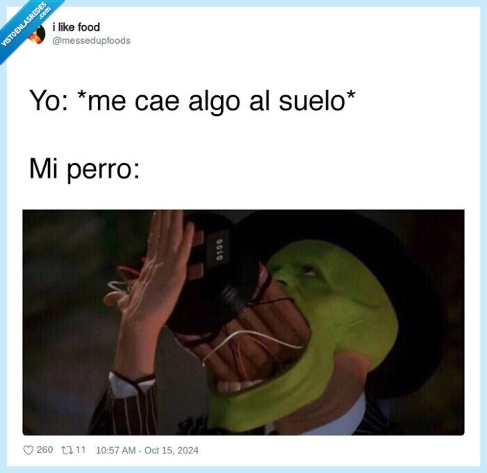 perro,caer al suelo,suelo,comida,mascara