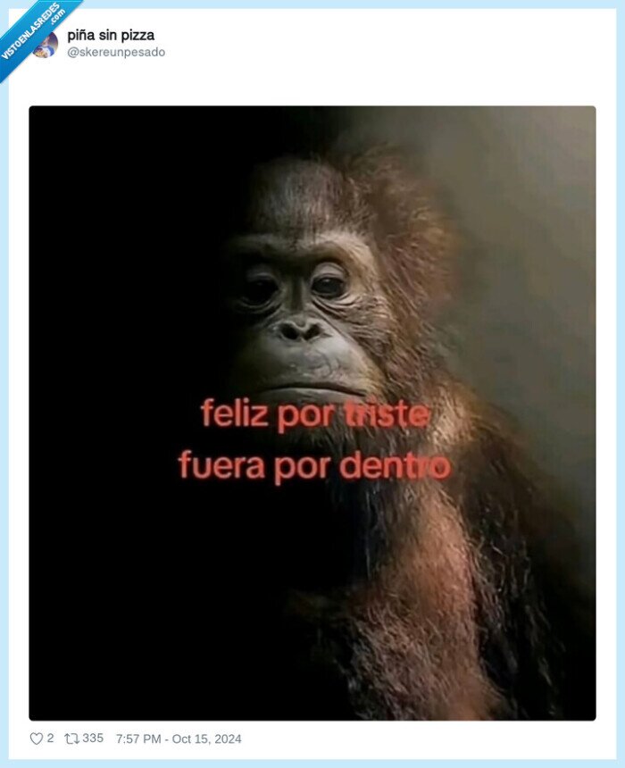 feliz,triste,fuera,dentro