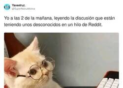 Enlace a O mismamente forocoches, por @SuperManuMolina