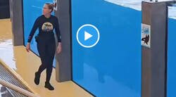 Enlace a Sin ninguna duda, uno de los mejores trabajos del mundo