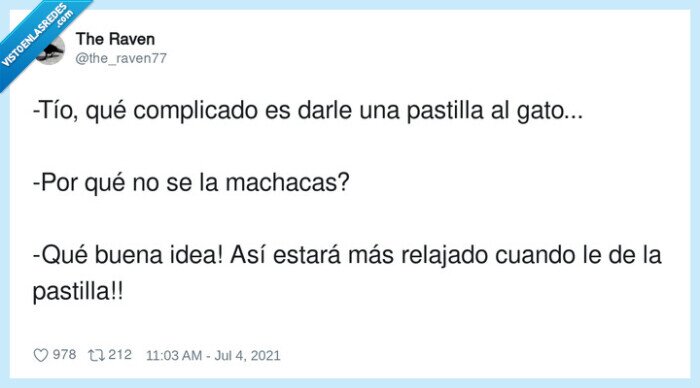 complicado,pastilla,relajado,machacar,gato