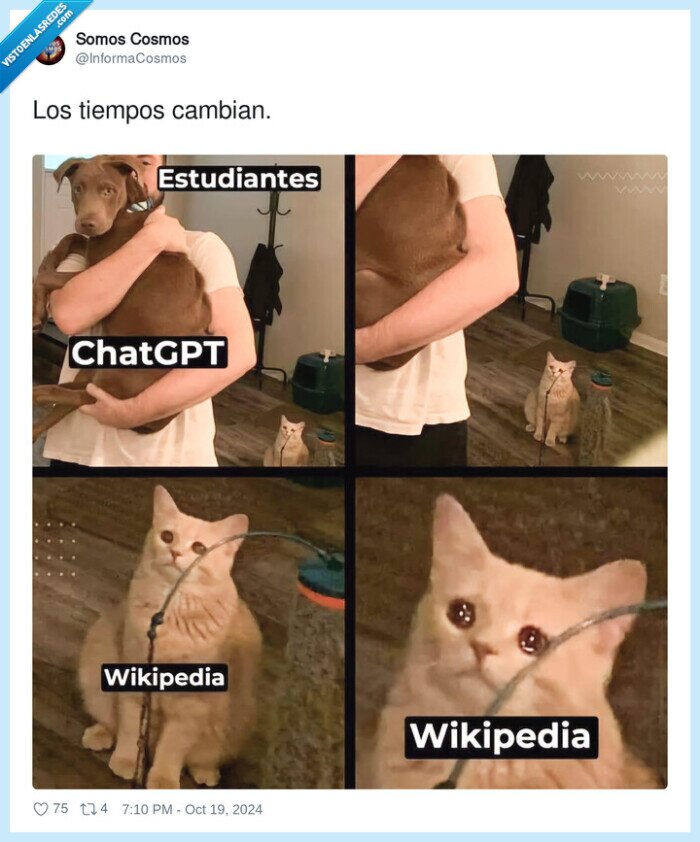 cambiar,tiempos,chatgpt,gato,wikipedia