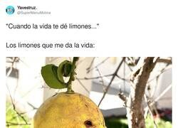 Enlace a Limones versión Halloween, por @SuperManuMolina