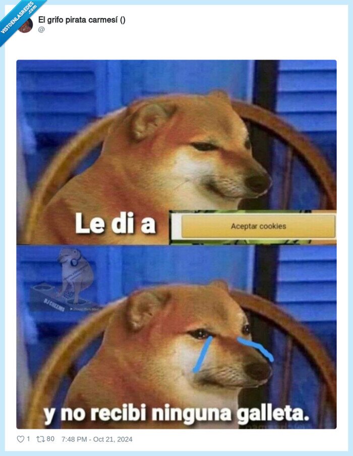 cheems,doge,triste,galletas,aceptar,cookies
