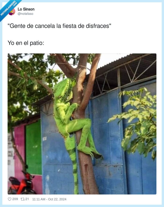 disfraces,cancelar,fiesta,camaleon,patio