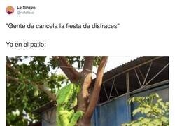 Enlace a Que le quiten lo bailao, por @notafaso