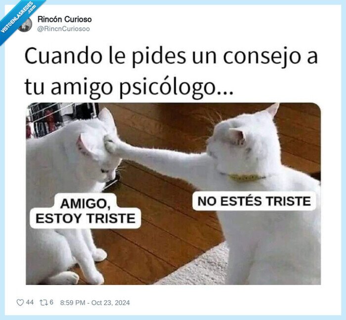 amigo,gato,triste,psicologo,consejo