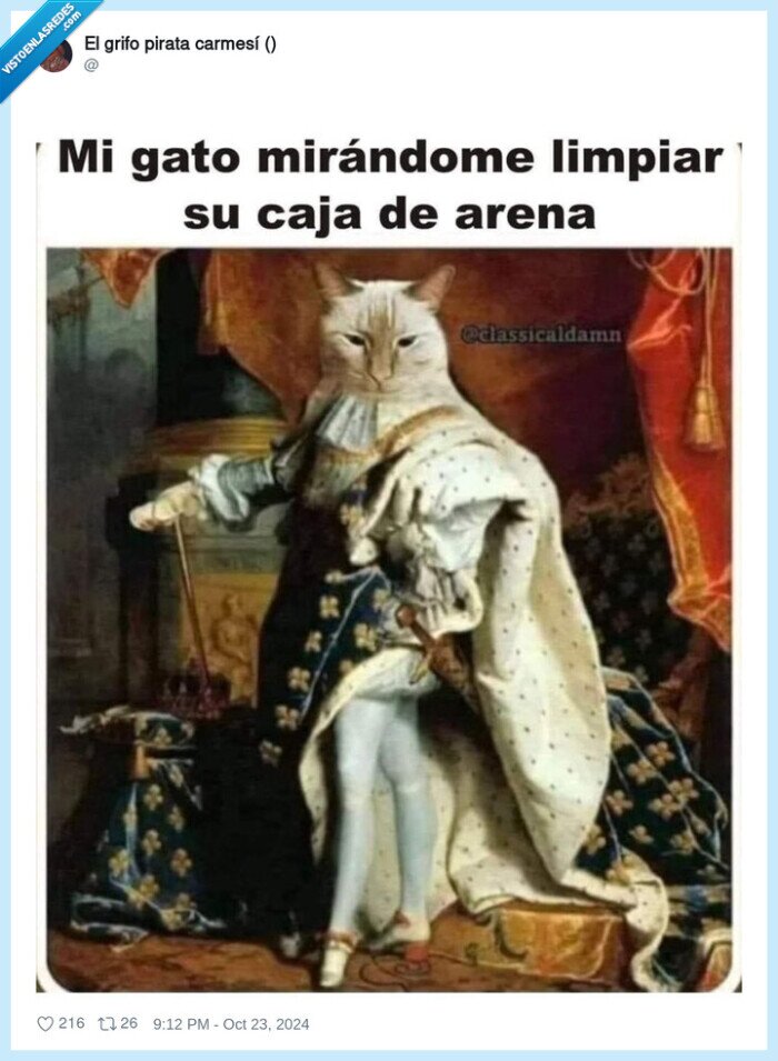 gato,marques,arenero,limpiar