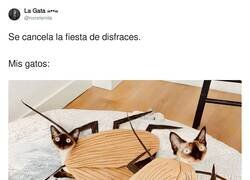 Enlace a ¿Y ahora qué?, por @norelenita