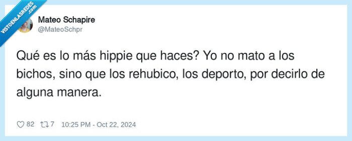 rehubicar,deportar,bichos,hippie