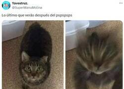 Enlace a YOU DIED por @supermanumolina