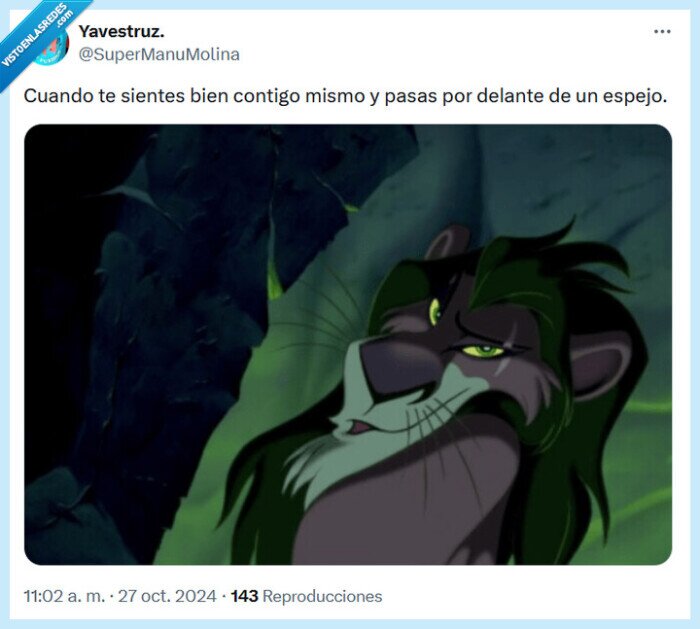 espejo,bien,el rey león