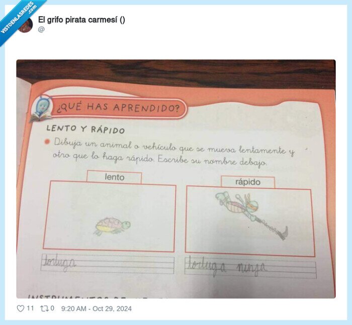 animal,ejercicio,lento,rapido,tortuga