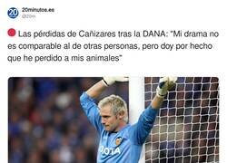 Enlace a ¿Opiniones? ¿Eran necesarias las declaraciones?, por @20m