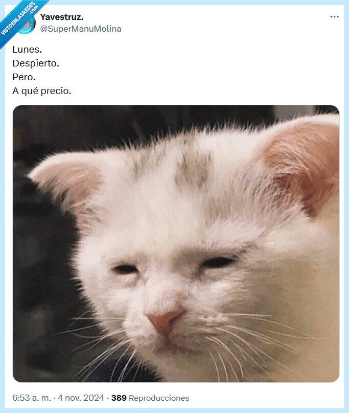 lunes,despierto,precio