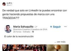 Enlace a ¿Cómo hay gente con la cabeza tan hueca?, por @jnct17